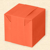 Cube Module