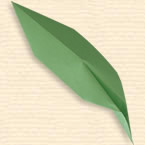 Broadly Lancet Leaf