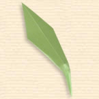 Linear Leaf 