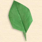 Ovoid Leaf