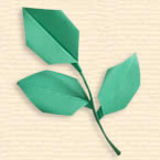 Ovoid Leaf